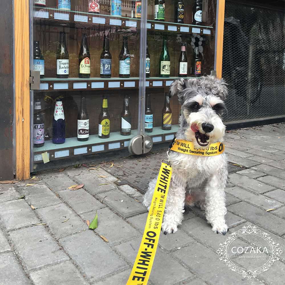 オフホワイト 犬 リード ハーネス セット