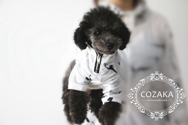カブリヤッケ 薄い ブランド ドッグ洋服 親子服 犬とのペアルック ドッグ洋服 親子服