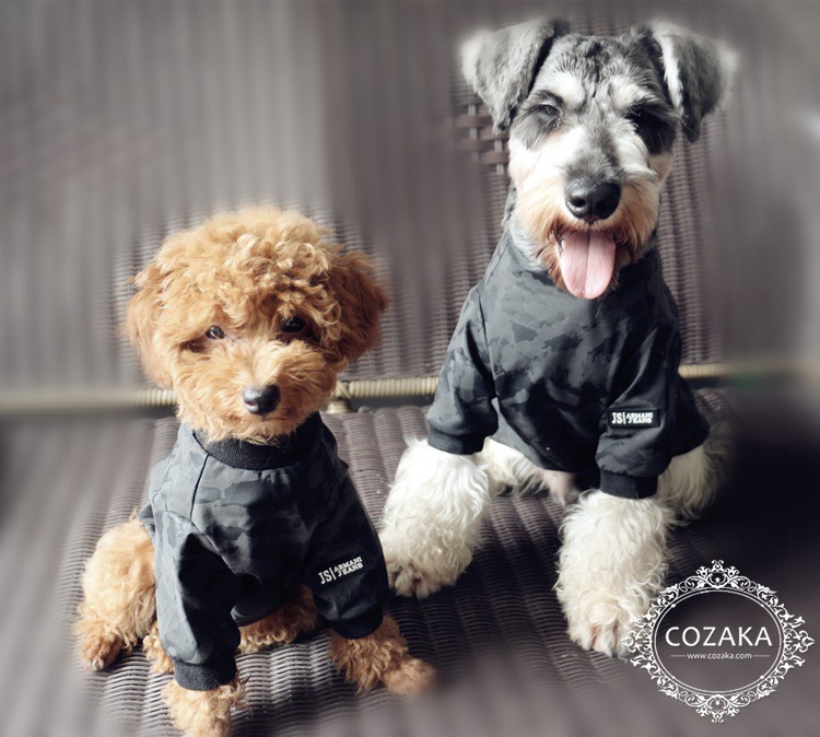 猫服 armani jeans かわいい