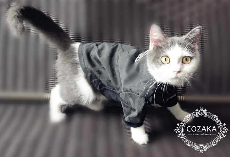 中型犬 洋服 パロディ