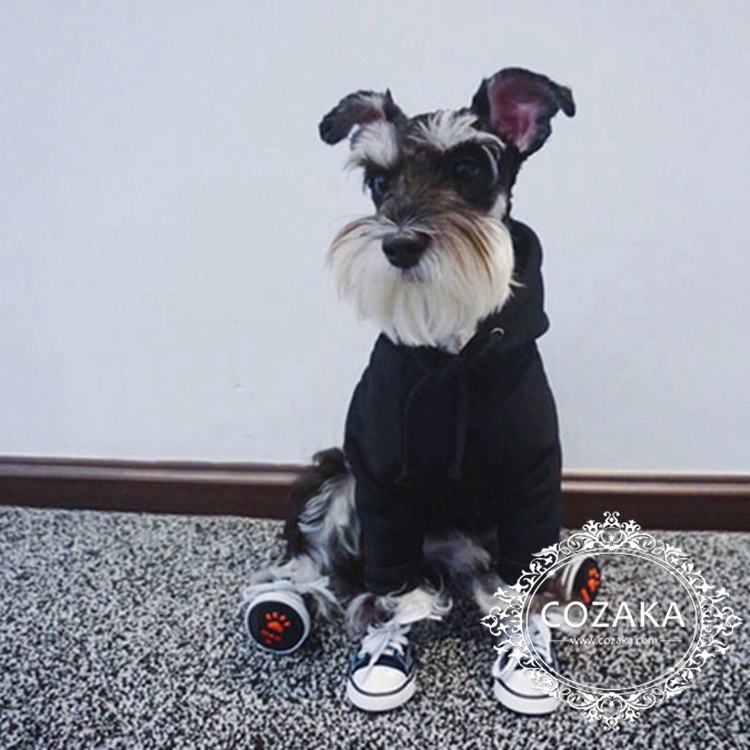 おしゃれ Stussy ドッグ用フーディー ステューシー ドッグウェア プルオーバー