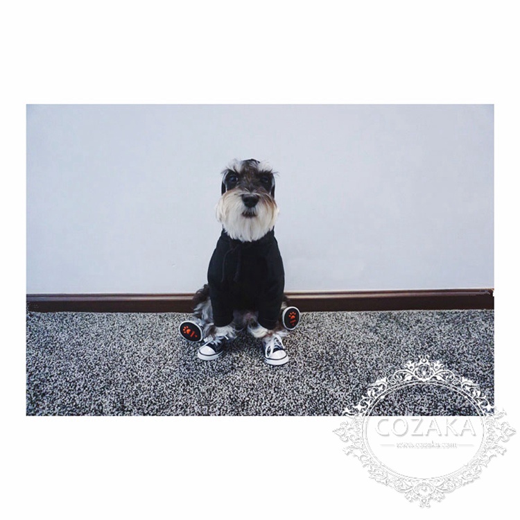 ステューシー かわいい 中型犬洋服 パーカ 中型犬洋服 ステューシー 防寒対策