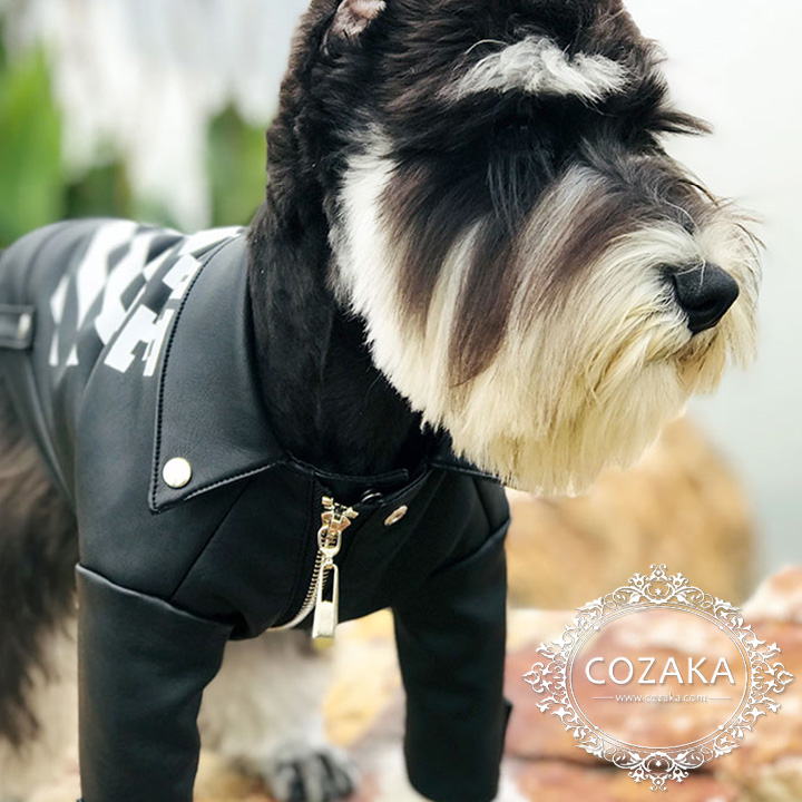 【オリジナル】犬の服 オルジナル ライダースジャンバー Mサイズ