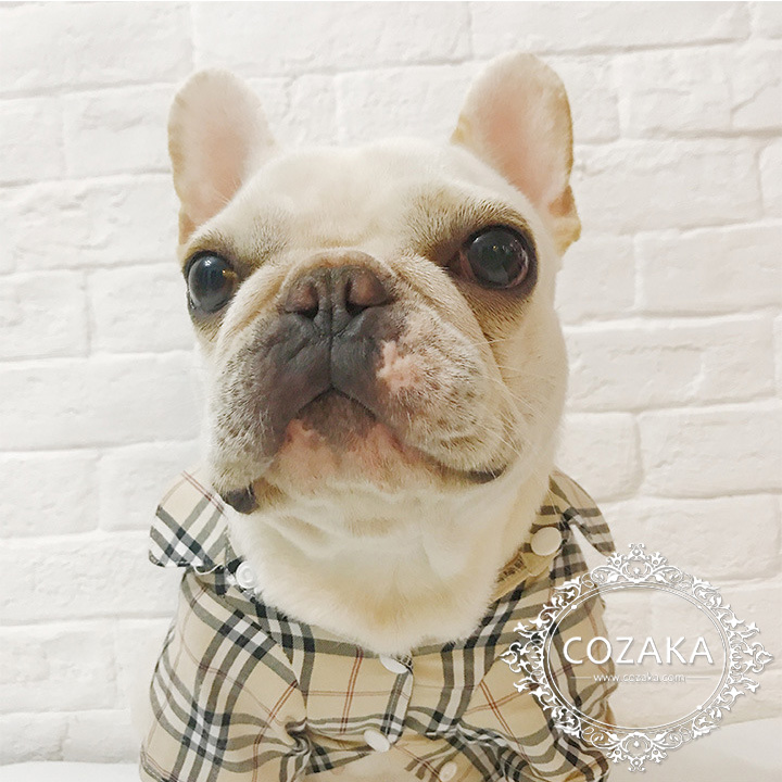 小型犬 ドッグウェア ブランド 小型犬 ドッグウェア ブランド