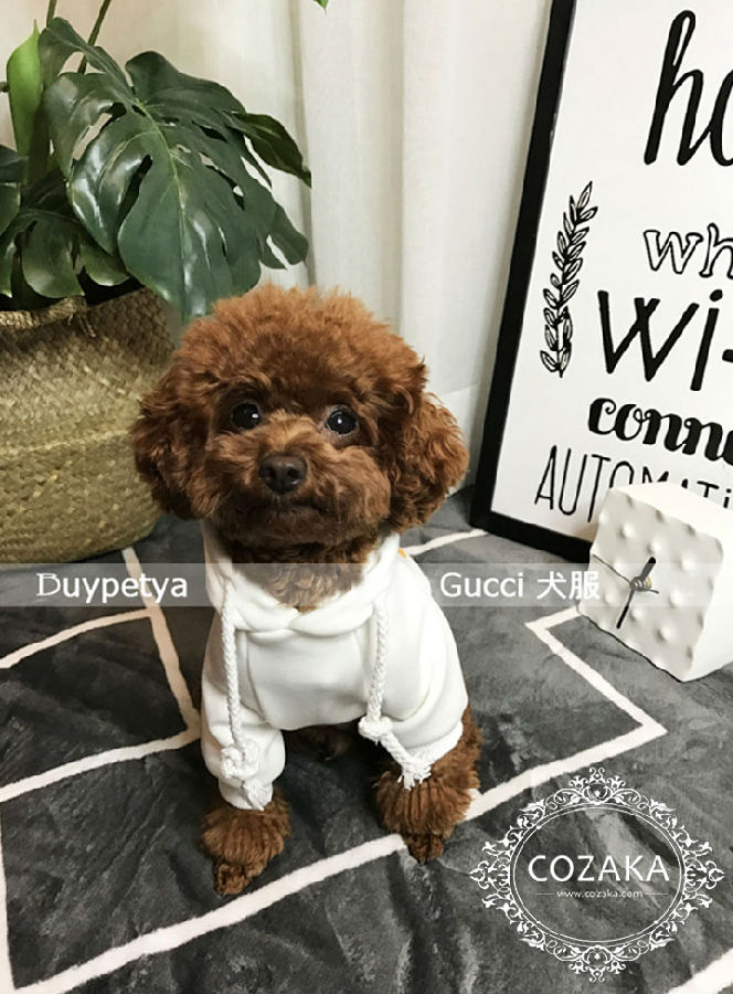 グッチ ドッグウエアー グッチ ドッグウエアー