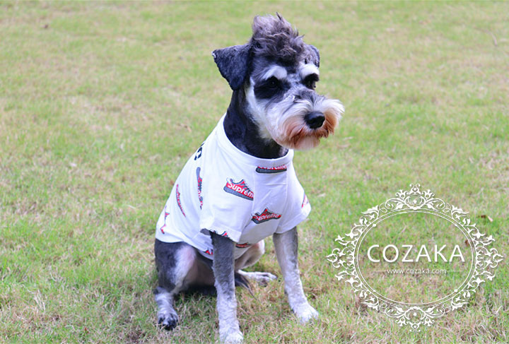 シュプリーム 犬服 Tシャツ パロディ シュプリーム 犬服 Tシャツ パロディ