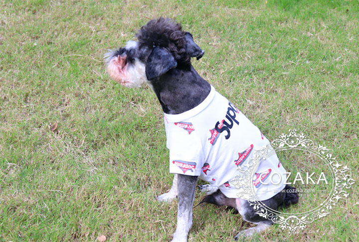 supreme パロディ 犬用tシャツ supreme パロディ 犬用tシャツ