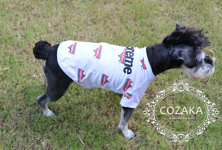 6.jpg supreme tシャツ 犬服