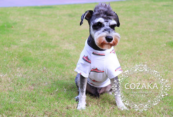 シュプリーム ドッグウェア tシャツ シュプリーム ドッグウェア tシャツ