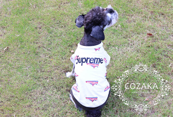 5.jpg シュプリーム パロディ 犬服 tシャツ