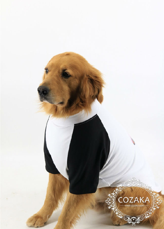 チャンピオン tシャツ 大型犬服