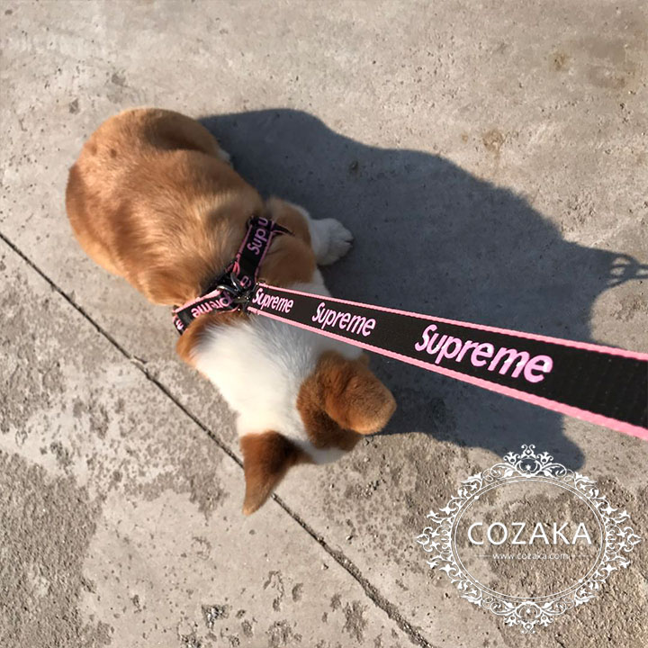 シュプリーム 犬用 リード ハーネス セット おしゃれ supreme 犬用