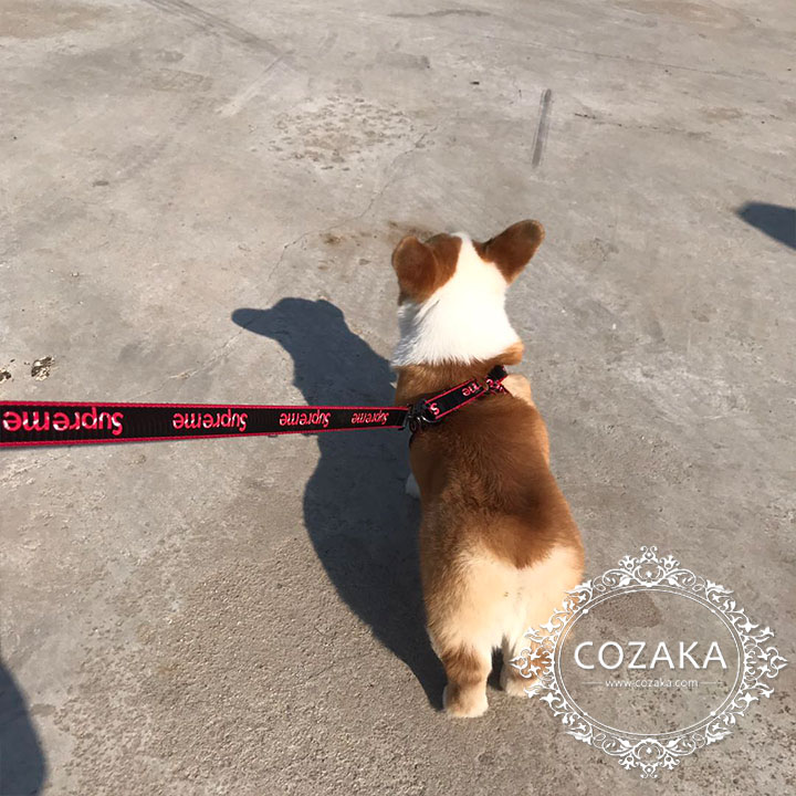 supreme 犬用ハーネスリード
