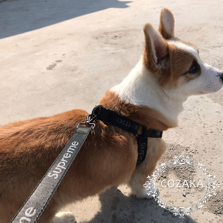 シュプリーム 犬ハーネスリードセット