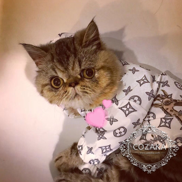 ブランド猫洋服 LV オシャレ