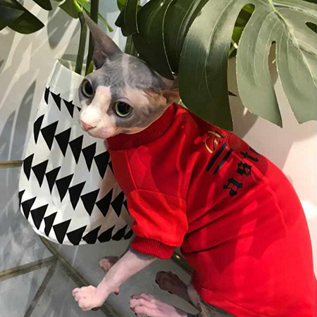 gucci グッチ 猫服 犬服 カスタマイズ ブランド ペットウェア 抜け毛