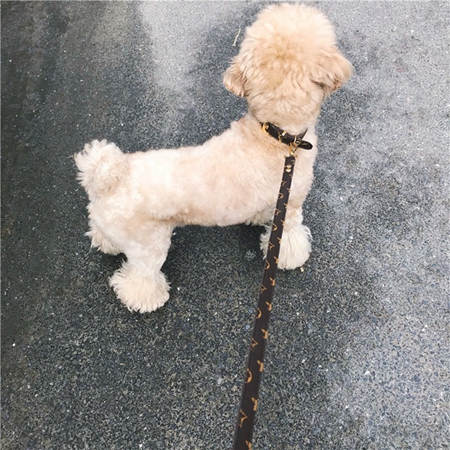 ルイヴィトン 首輪 犬用