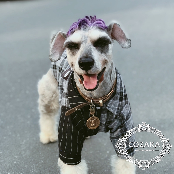 犬の冬服 シュプリーム オシャレ