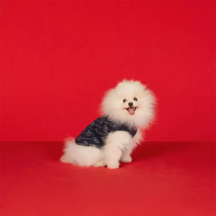 gucci 犬猫汎用