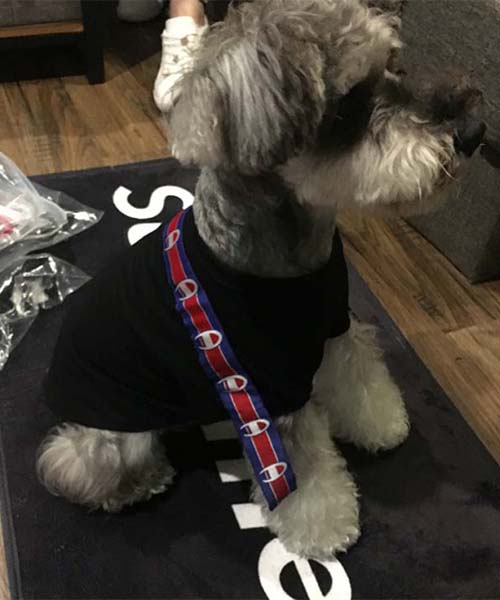ヴェトモン×チャンピオン 犬用 Tシャツ,VETEMENTS × CHAMPION パピーウェア,通販