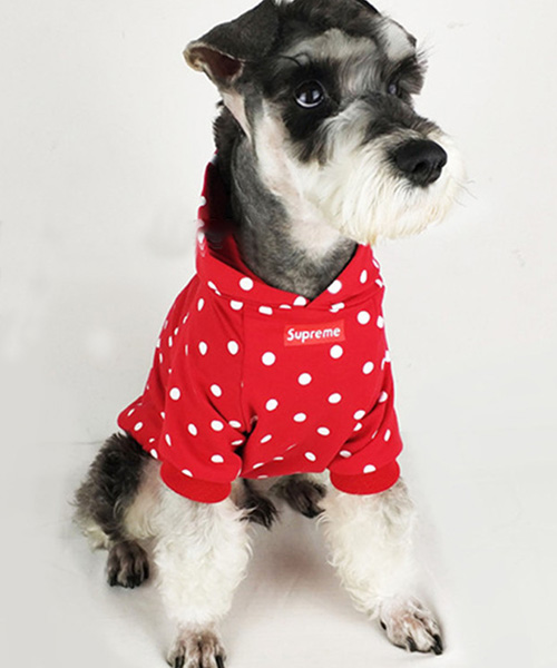 SUPREME 犬服 パーカー 水玉