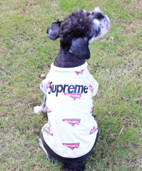 シュプリーム 犬服 Tシャツ パロディ