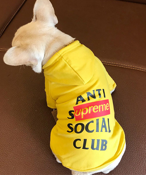 SUPREMEｘanti social social club 犬服 パーカー
