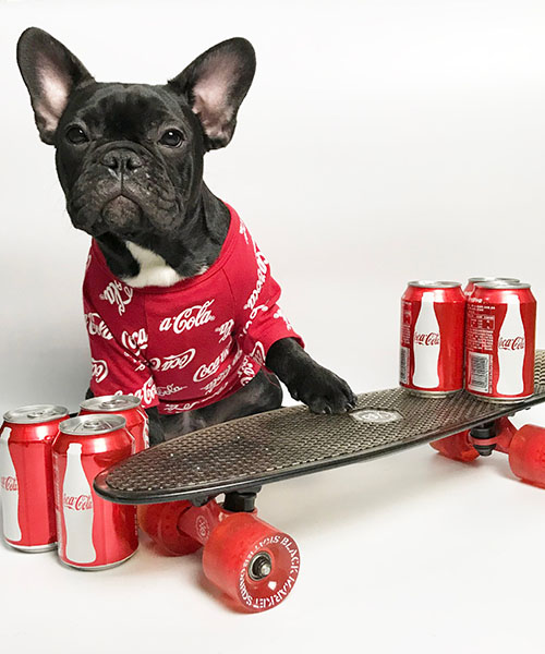 コカ コーラ 犬服 Tシャツ 半袖 Coca Cola ドッグウェア 薄手 夏用 可愛い ペットウェア