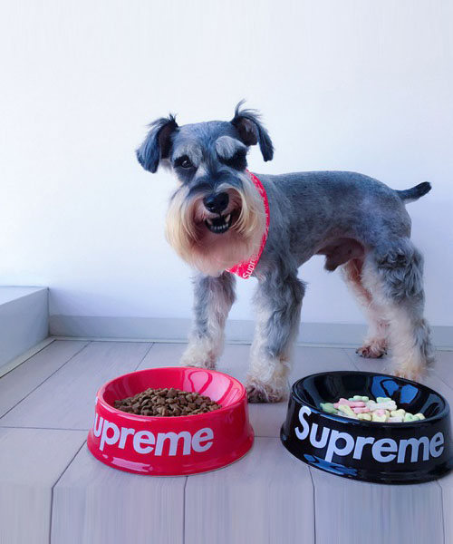 犬 フードボウル シュプリーム,Supreme ペット フードボウル,supreme 灰皿