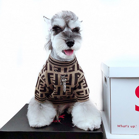 フェンデイ 犬服 セーター オシャレな fendi ペットウェア 小型犬適用